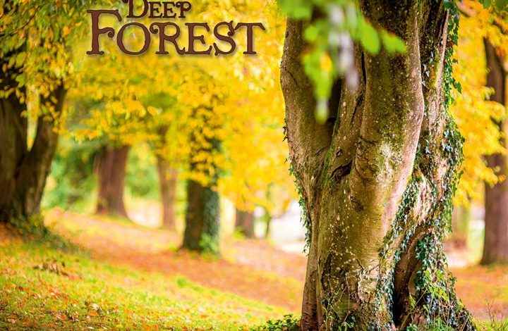 Deep Forest Calendar 2027