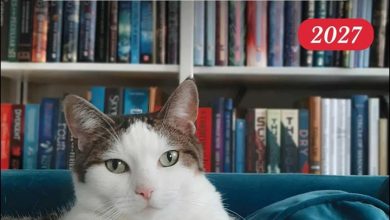 Cats & Books Calendar 2027