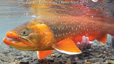 Angler's Calendar 2027