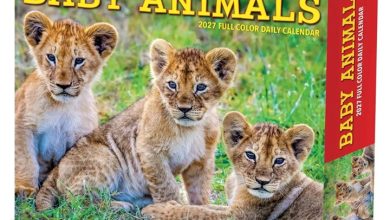 Baby Animals Desk Calendar 2027