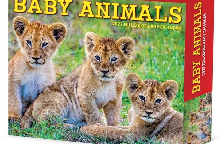 Baby Animals Desk Calendar 2027