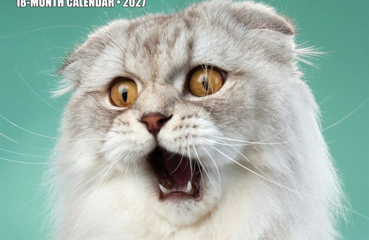 Cat-astrophe Calendar 2027