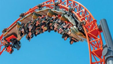 Roller Coasters Calendar 2027