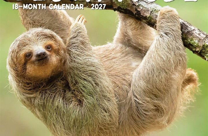 Sloth Mode Calendar 2027