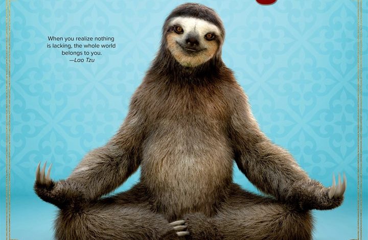 Sloth Yoga Calendar 2027