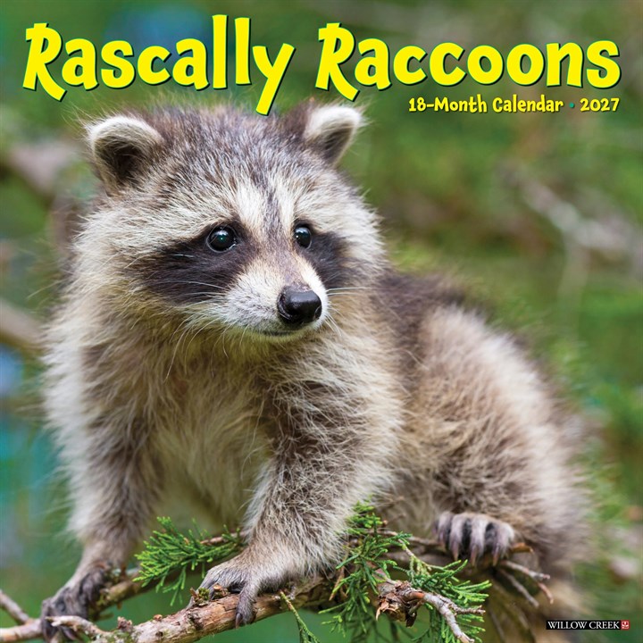 Rascally Raccoons Calendar 2027
