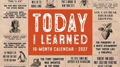 Today I Learned Calendar 2027