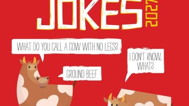Bad Dad Jokes Mini Calendar 2027