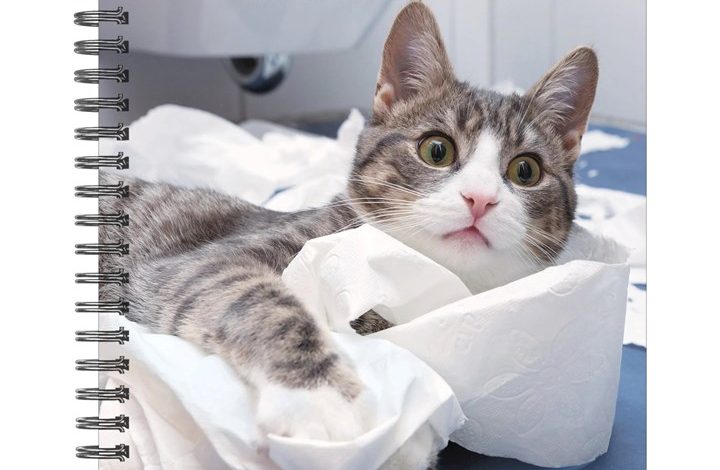 Cat-astrophe A5 Diary 2027