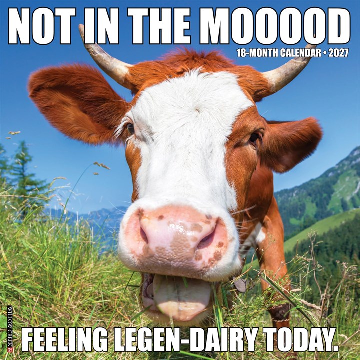 Not In The Mooood Calendar 2027