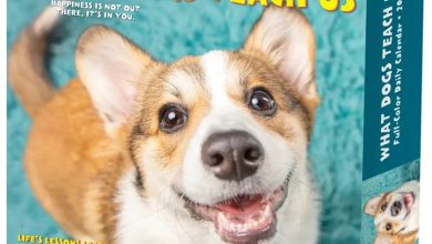What Dogs Teach Us Desk Calendar 2027
