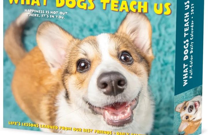 What Dogs Teach Us Desk Calendar 2027