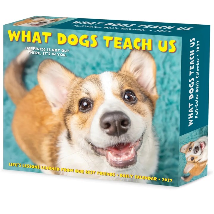 What Dogs Teach Us Desk Calendar 2027