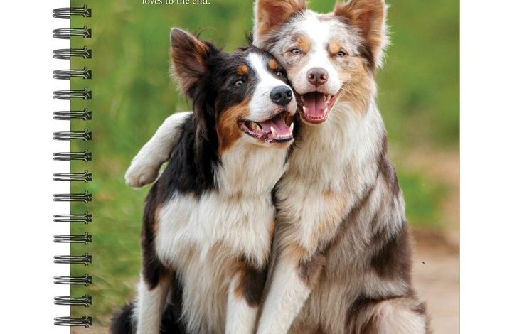 What Dogs Teach Us A5 Diary 2027