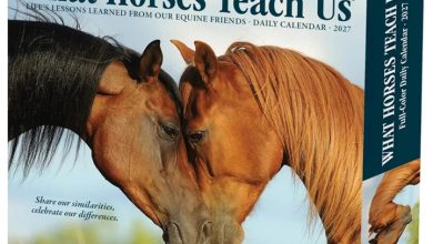 What Horses Teach Us Desk Calendar 2027