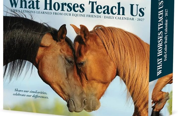 What Horses Teach Us Desk Calendar 2027