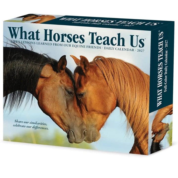 What Horses Teach Us Desk Calendar 2027