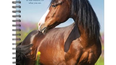 What Horses Teach Us A5 Diary 2027