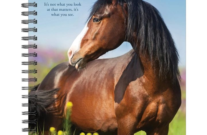 What Horses Teach Us A5 Diary 2027