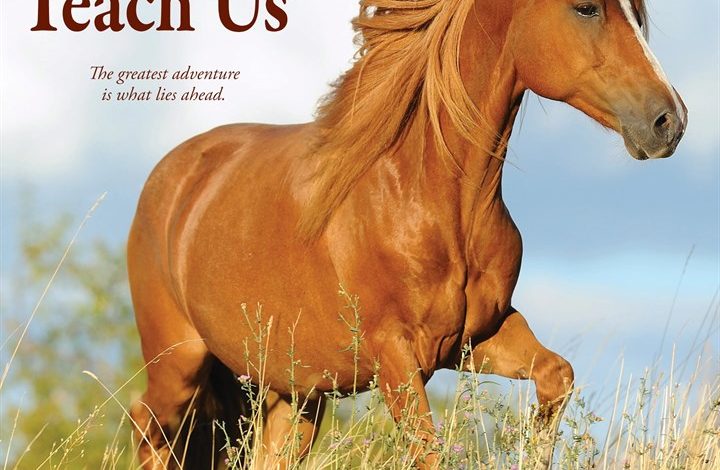 What Horses Teach Us Calendar 2027