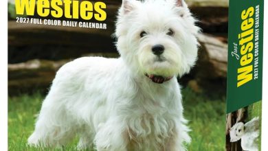 Just Westies Desk Calendar 2027