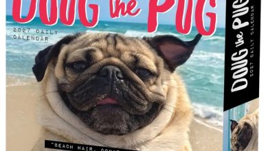 Doug The Pug Desk Calendar 2027