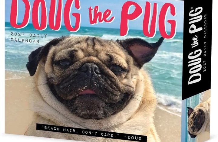 Doug The Pug Desk Calendar 2027