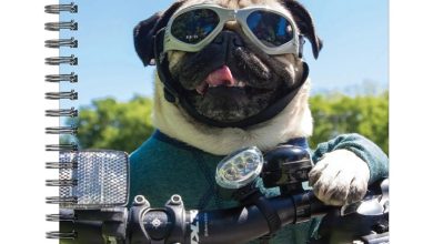 Doug The Pug A5 Diary 2027