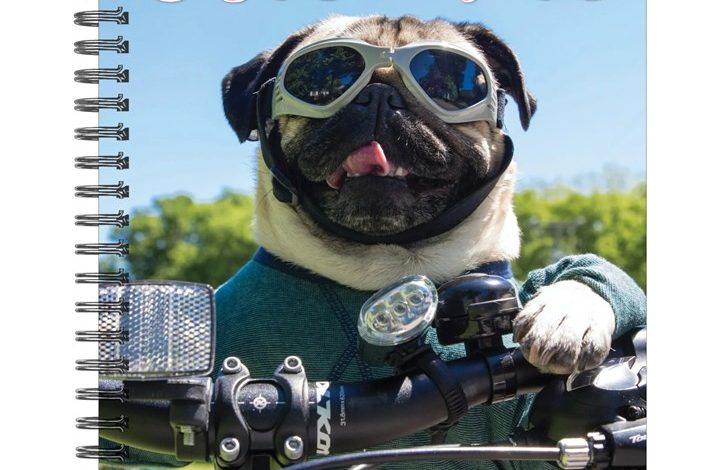 Doug The Pug A5 Diary 2027