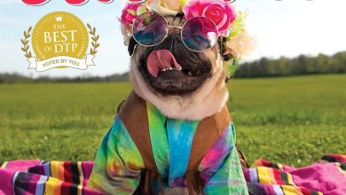 Doug The Pug Mini Calendar 2027