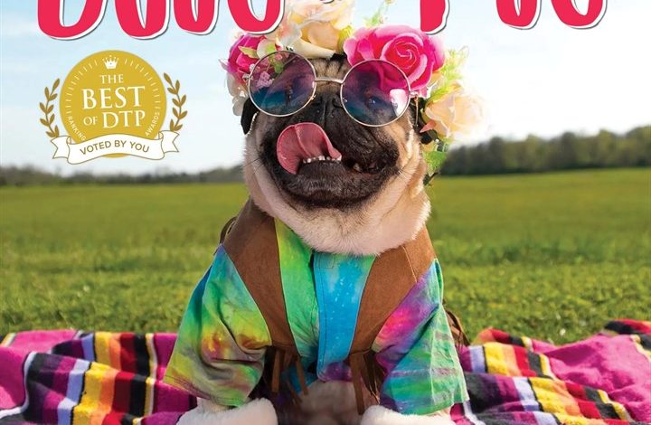 Doug The Pug Mini Calendar 2027
