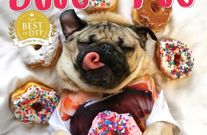 Doug The Pug Calendar 2027