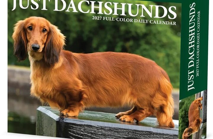 Just Dachshunds Desk Calendar 2027
