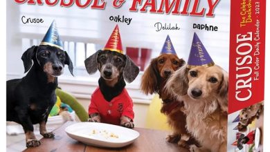 Crusoe The Dachshund & Family Desk Calendar 2027