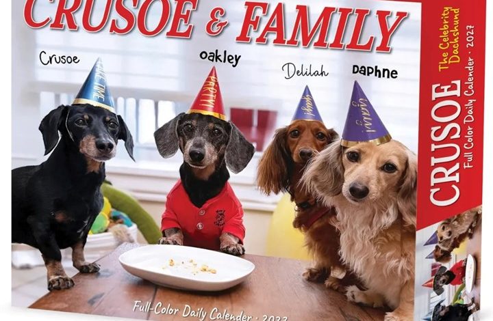 Crusoe The Dachshund & Family Desk Calendar 2027