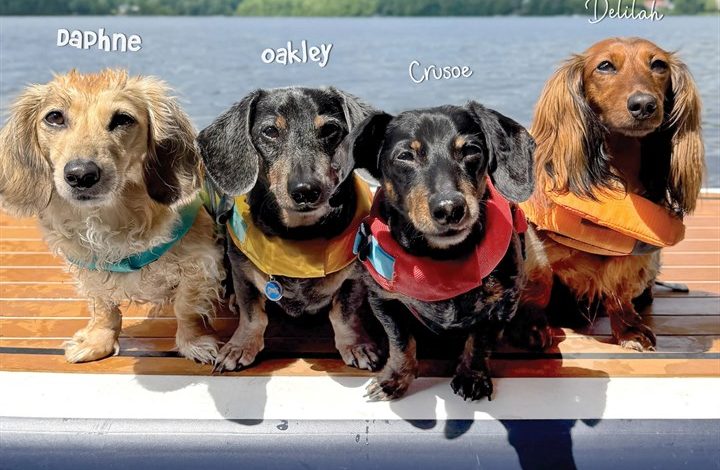 Crusoe The Dachshund & Family Calendar 2027
