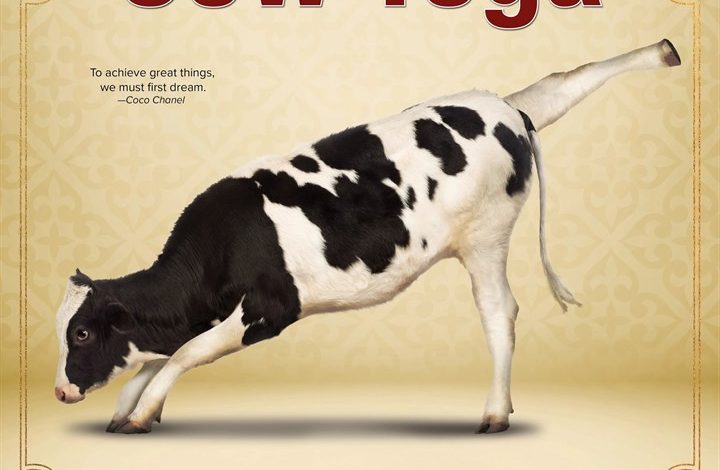 Cow Yoga Calendar 2027