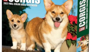Just Corgis Desk Calendar 2027