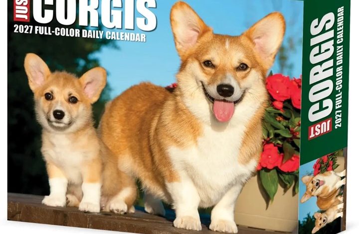 Just Corgis Desk Calendar 2027