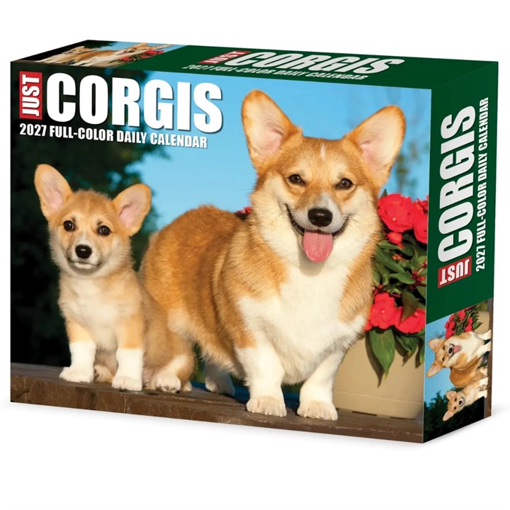 Just Corgis Desk Calendar 2027