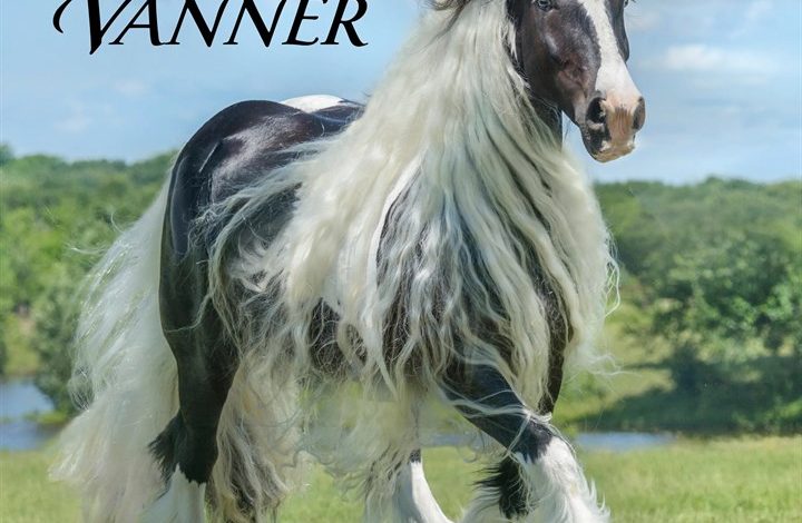 Gypsy Vanner Horse Calendar 2027