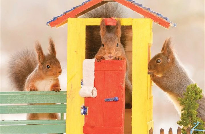 Gettin' Squirrelly Calendar 2027