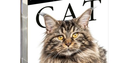Cat Gallery Desk Calendar 2027