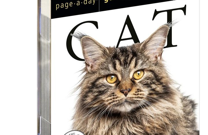Cat Gallery Desk Calendar 2027