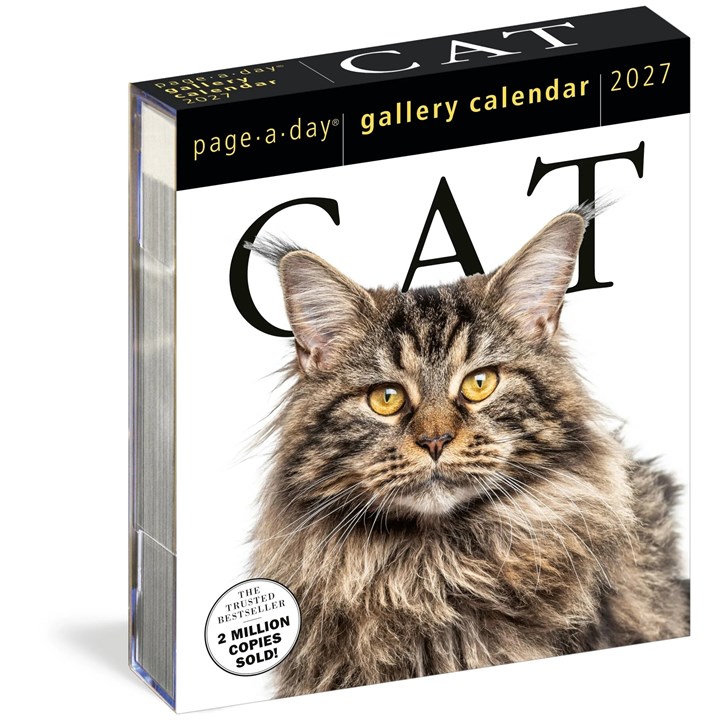 Cat Gallery Desk Calendar 2027