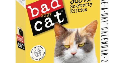 Bad Cat Desk Calendar 2027