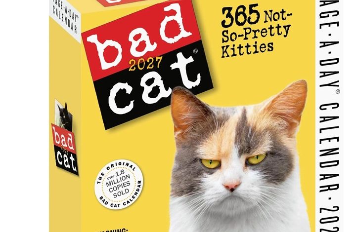 Bad Cat Desk Calendar 2027