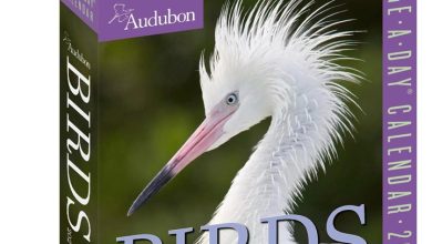 Audubon
