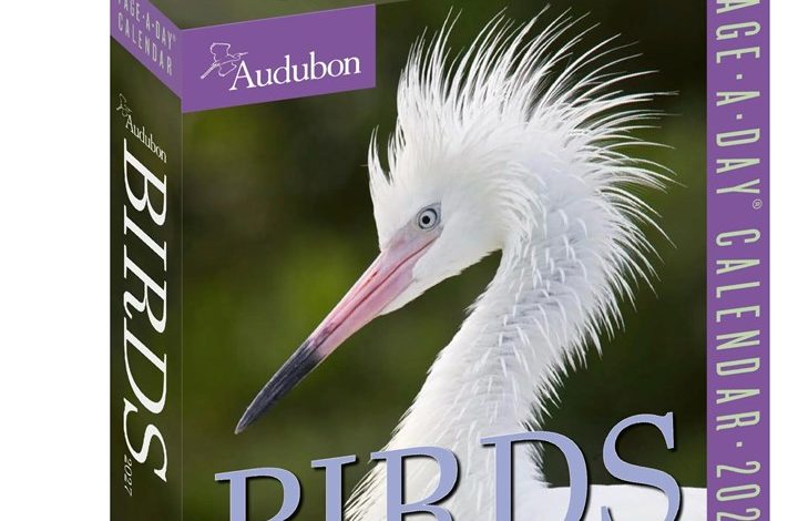 Audubon