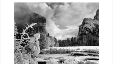 Ansel Adams Deluxe Calendar 2027